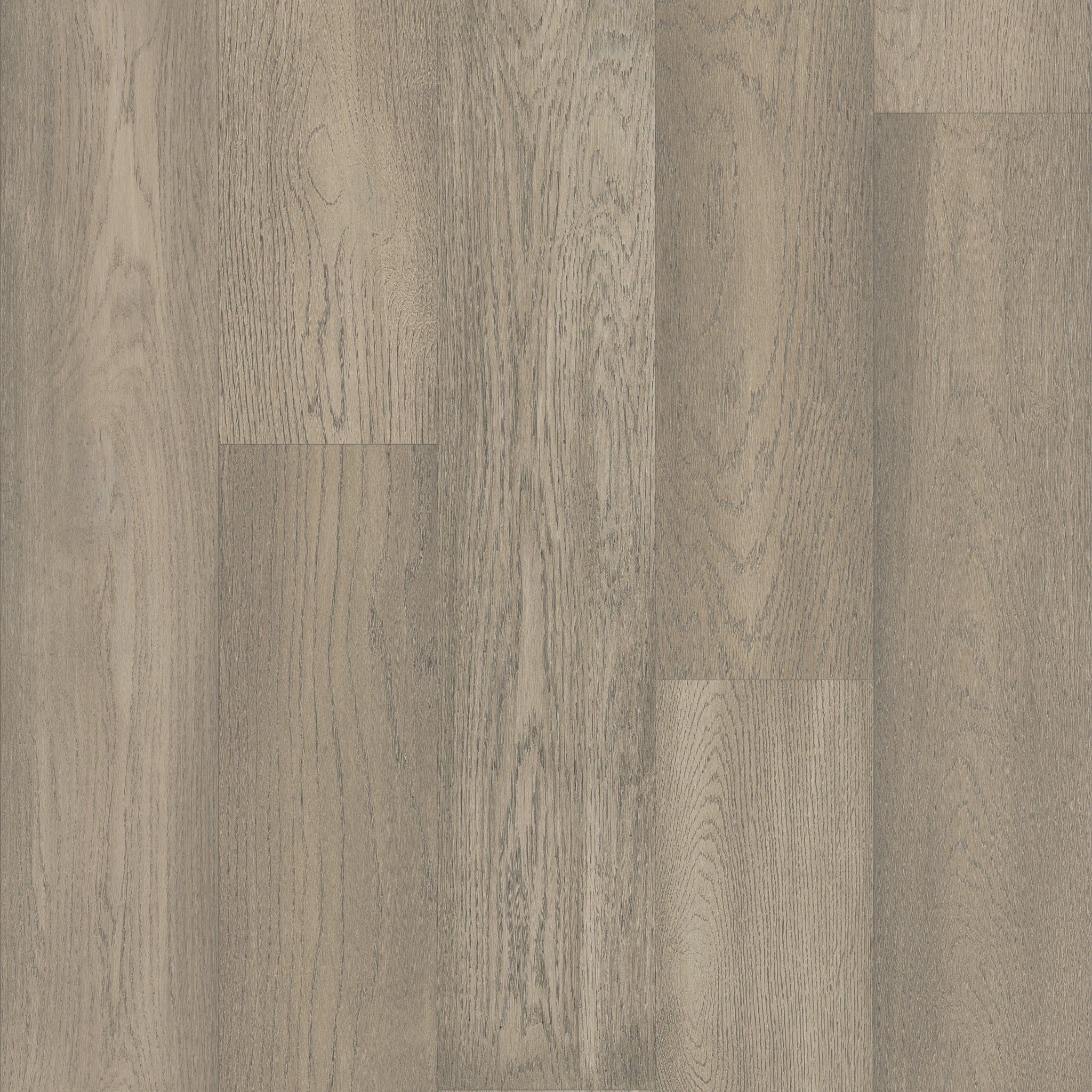 Shaw Floors Exquisite Ashton Oak 8