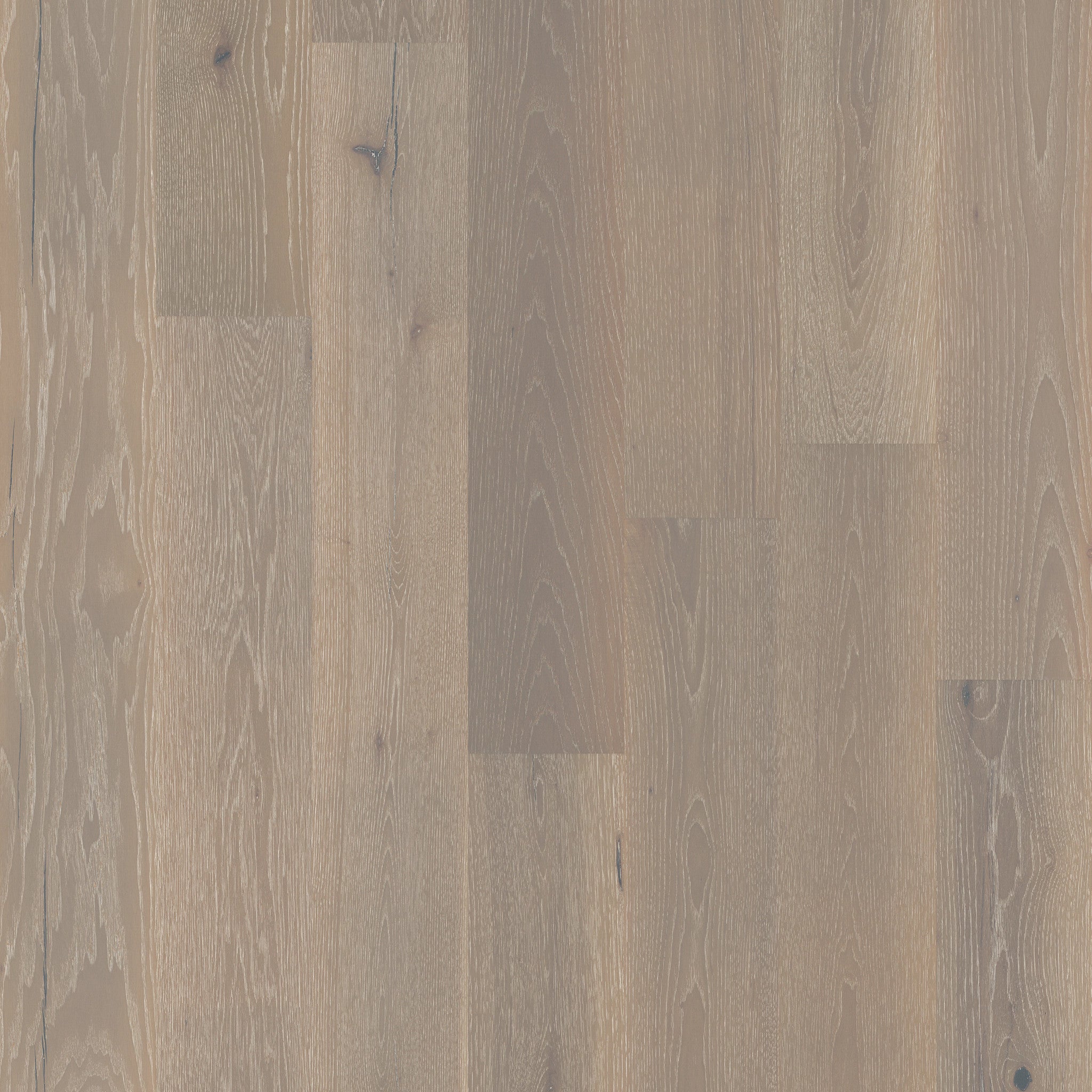 Shaw Floors Exquisite Beiged Hickory 8
