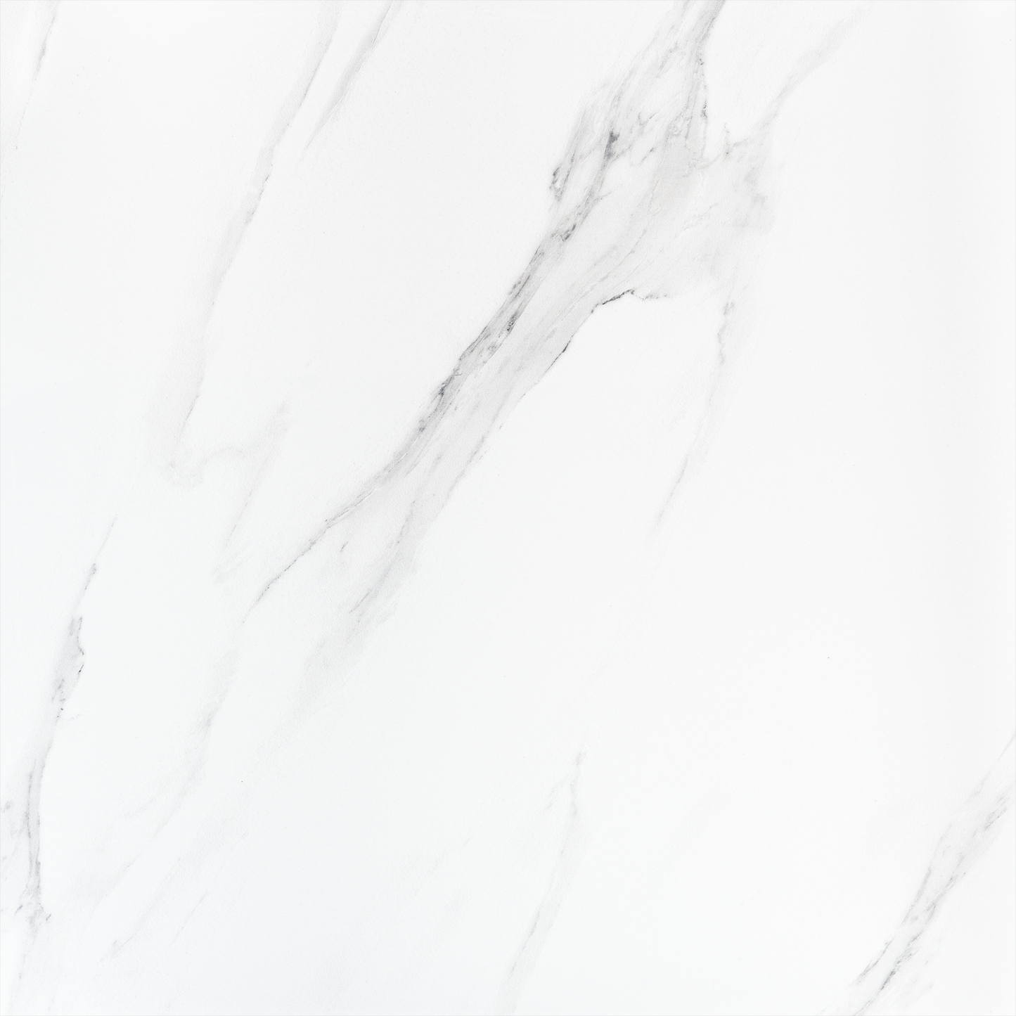 Bianca Carrara 24x24 Polished Marble Look Porcelain Tile