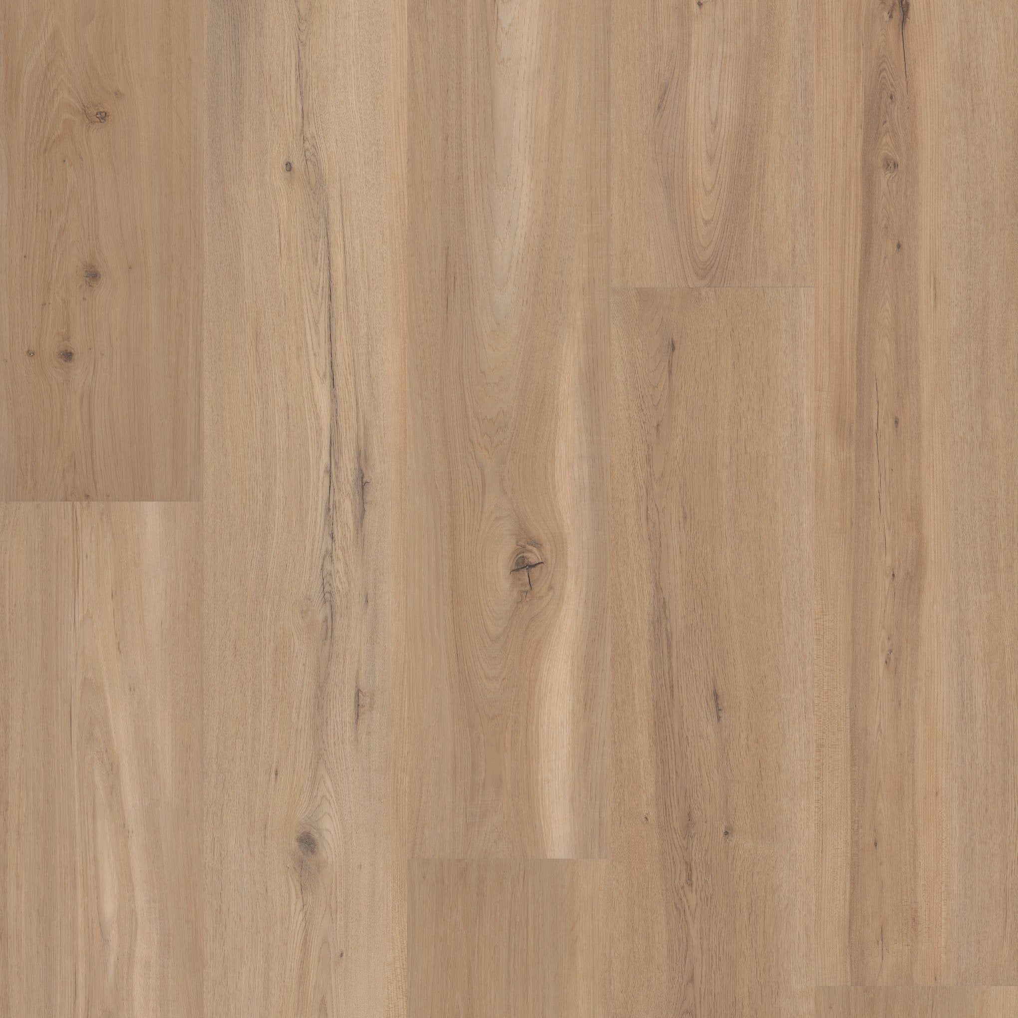 Coretec Premium Blonde Oak 9