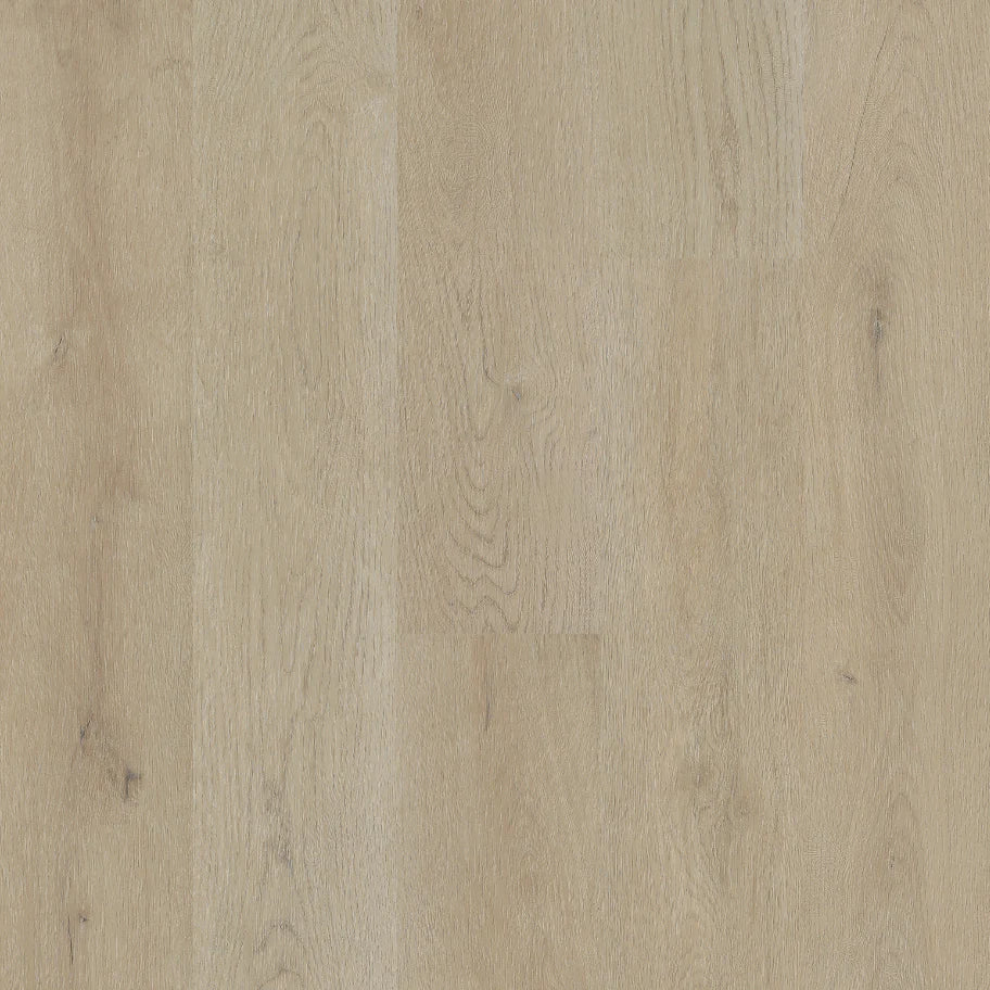 Biyork Traktion Brimstone Vinyl T-Molding 94.5