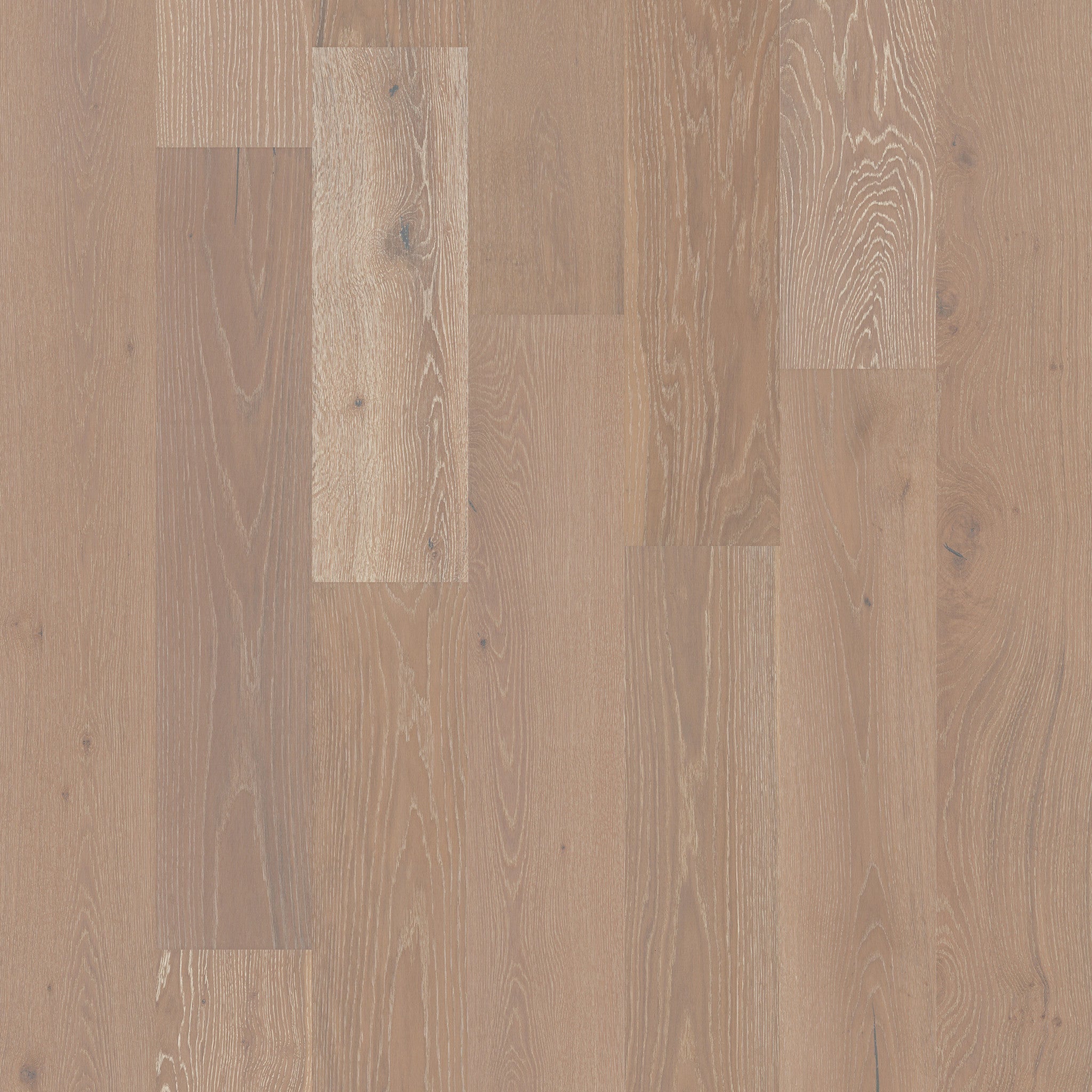 Shaw Floors Exquisite Champagne Oak 8