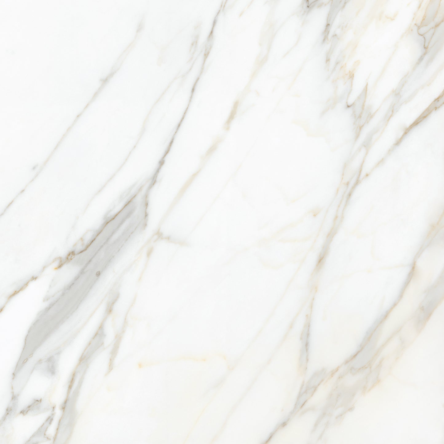 Calacatta Gold 24x24 Matte Finish Marble Look Porcelain Tile