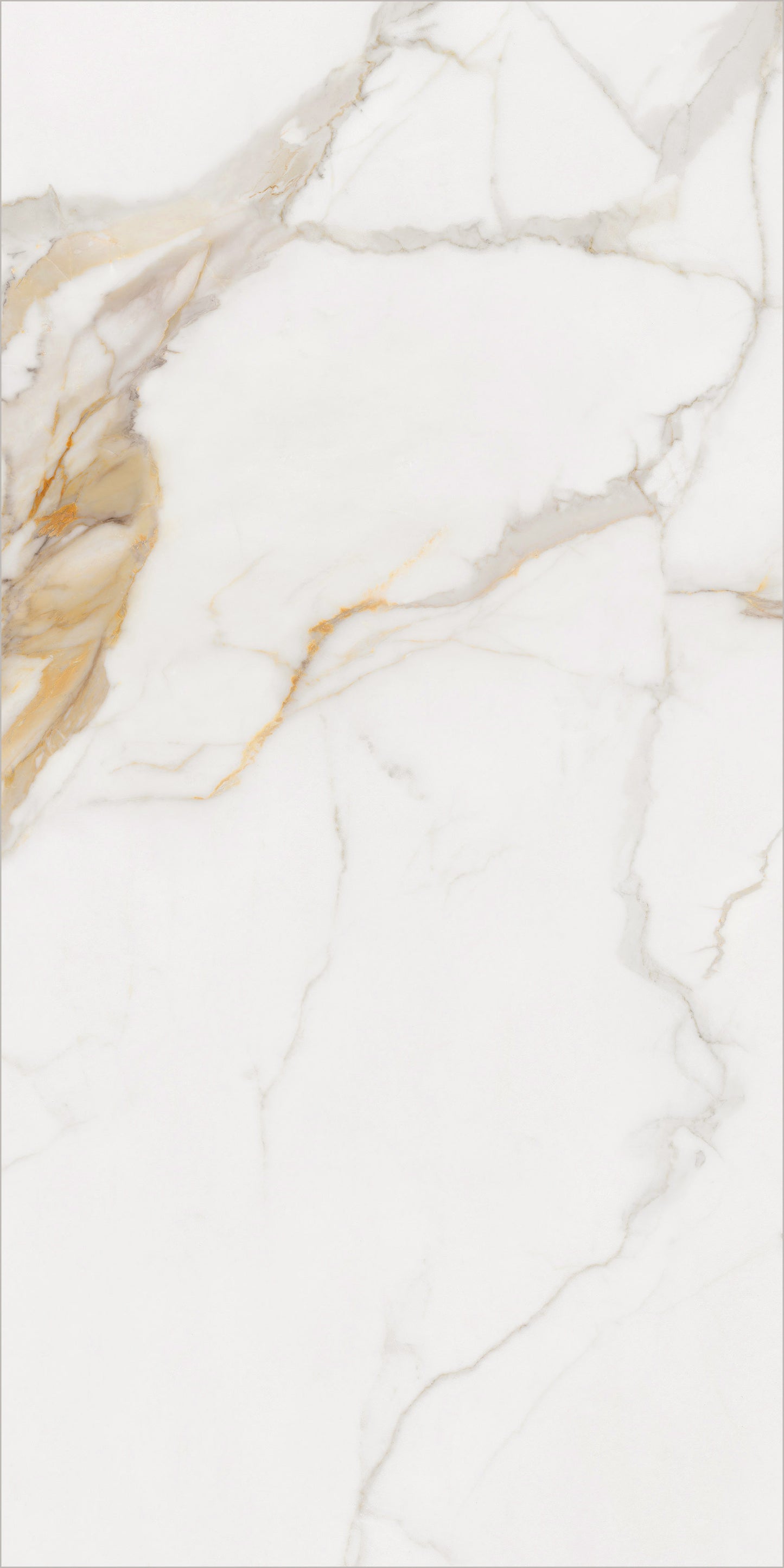 Calacatta Premium 24x48 Matte Marble Look Porcelain Tile