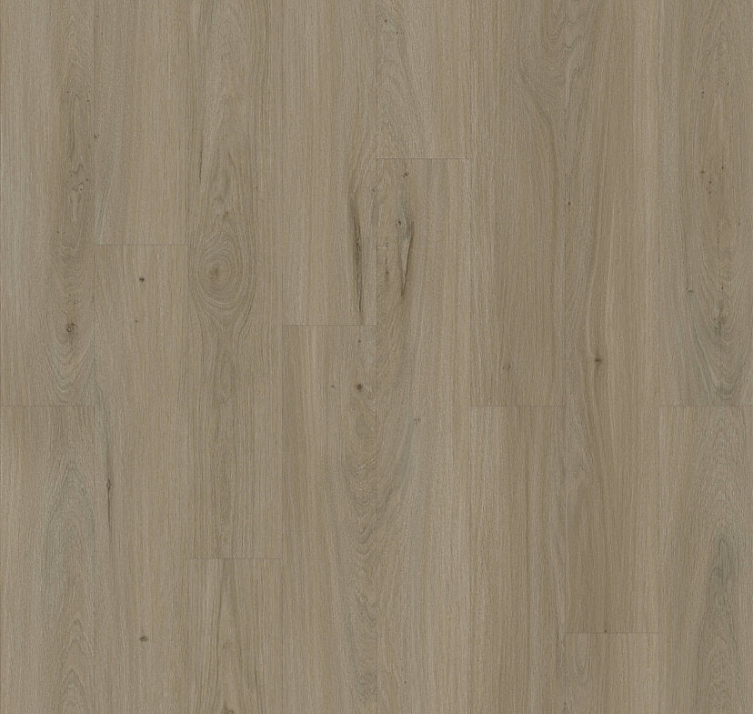 Harbinger Canberra 6