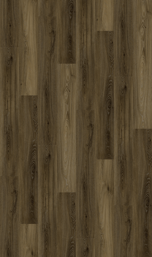 Harbinger Signature Chester 7