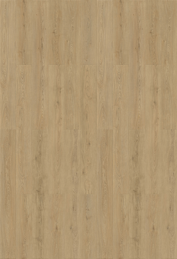 Harbinger Signature Colchester 9