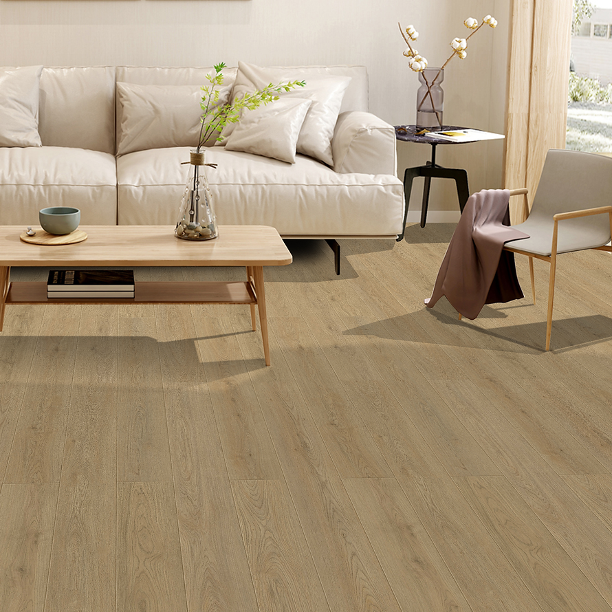 Harbinger Signature Colchester 9