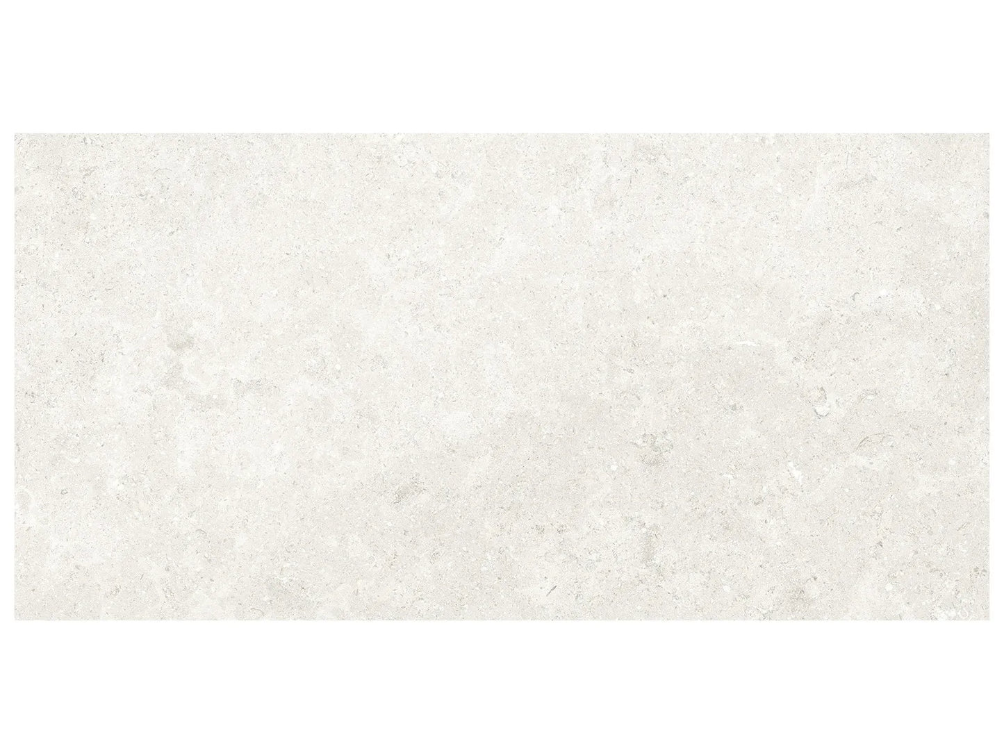 Colvera Shell Glow Matte Finish Porcelain Tile 8mm