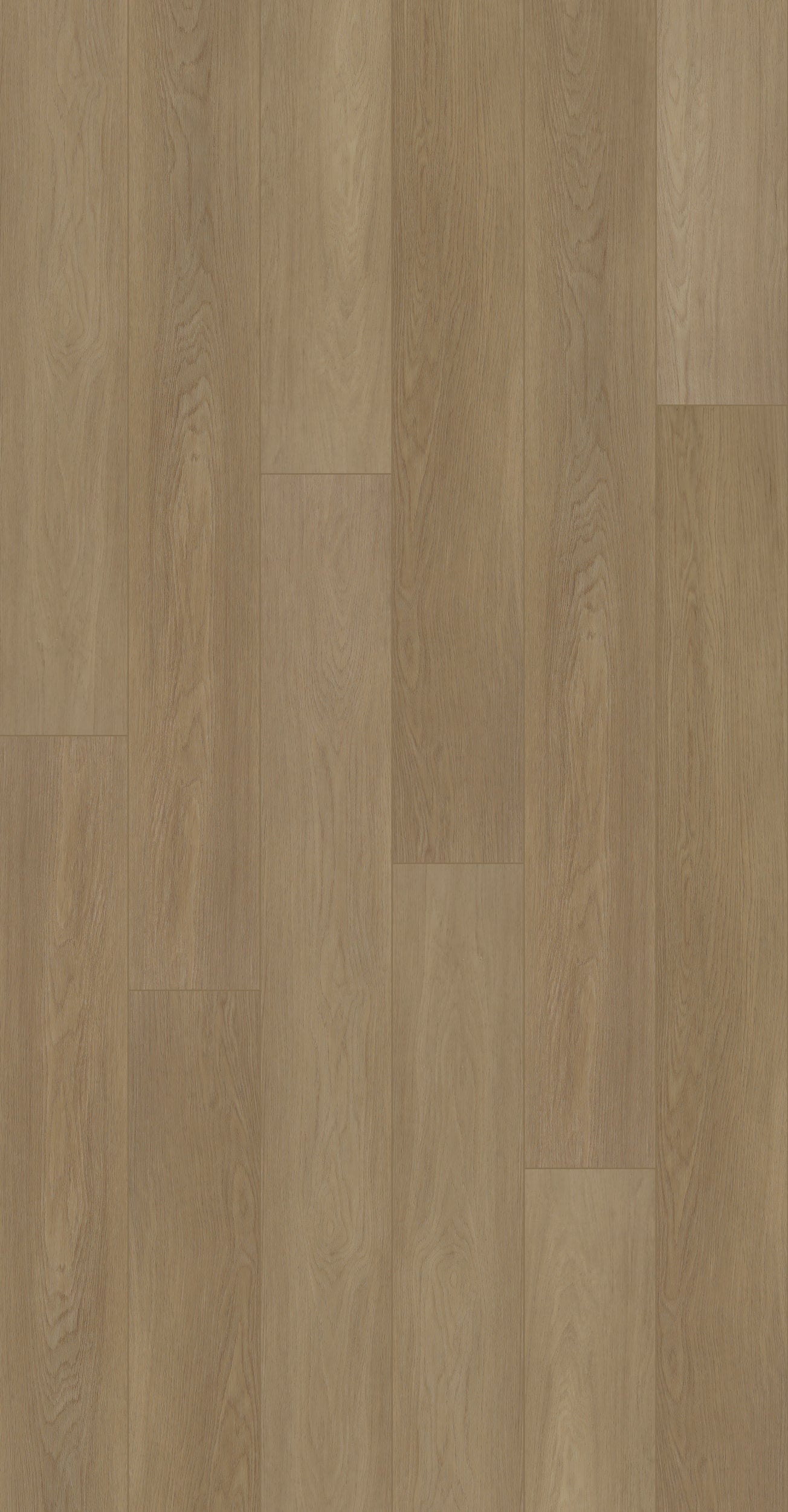 Biyork Hydrogen-8 Cloud Vinyl T-Molding 94.5