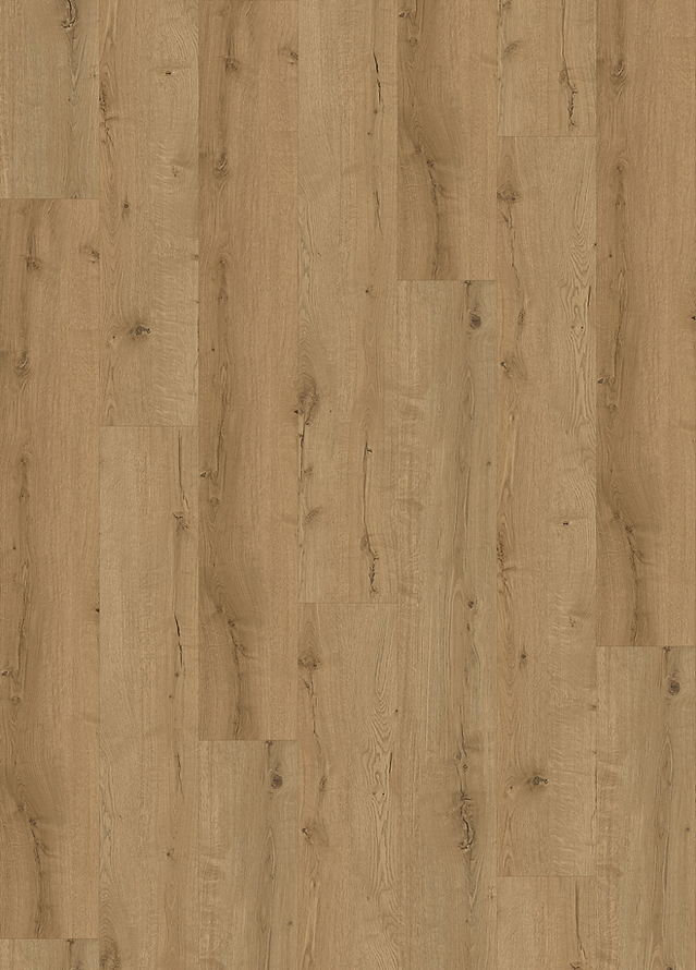 Harbinger Signature Derby 8