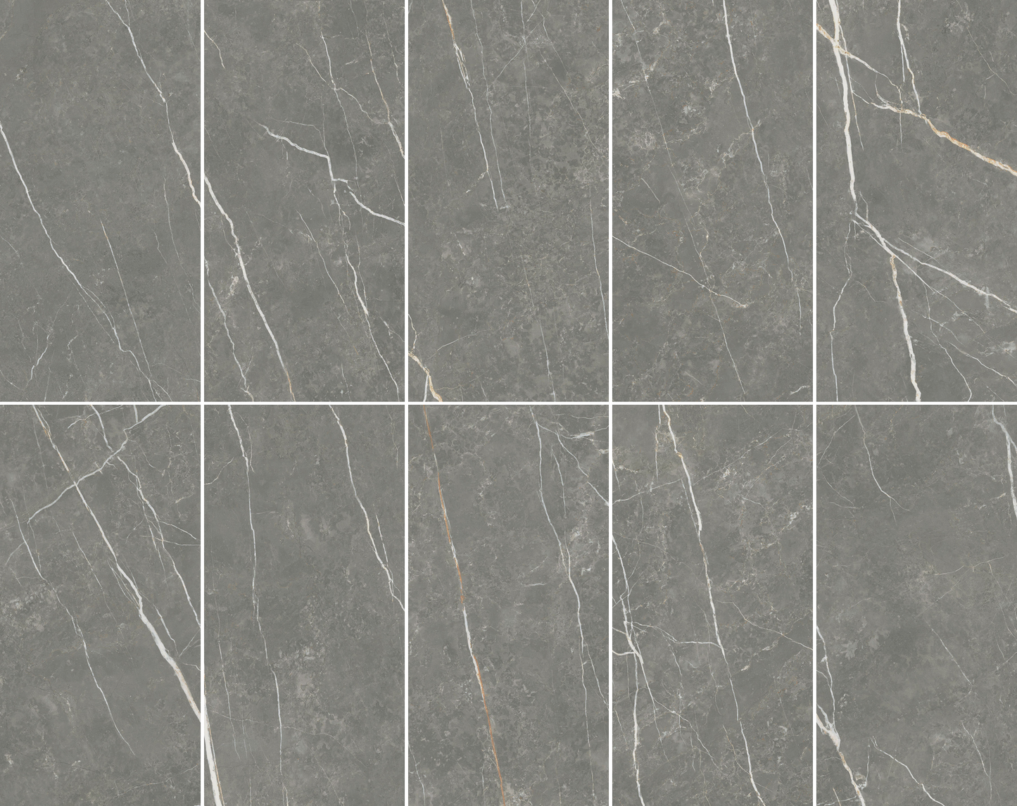 Elite Graphite 12x24 Matte