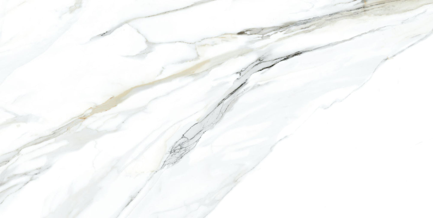 Emporio Calacatta 24x48 Polished Marble Look Porcelain Tile