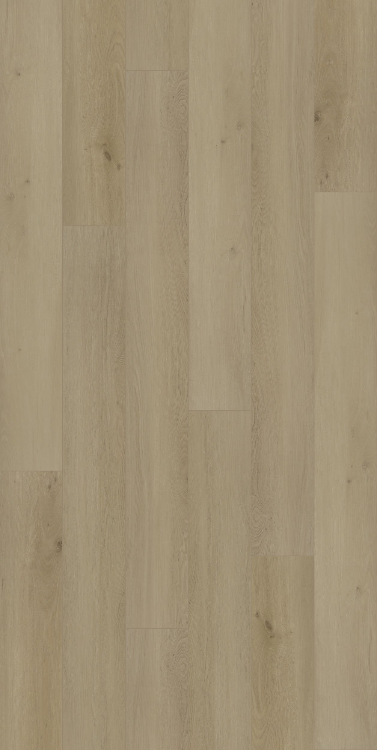 Biyork Hydrogen-8 Ether Vinyl T-Molding 94.5