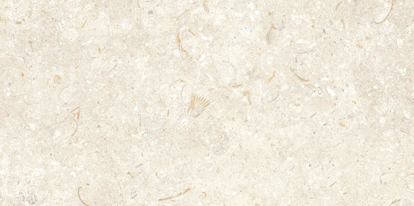 Fosil Bone 12x24 Matte Finish Porcelain Tile