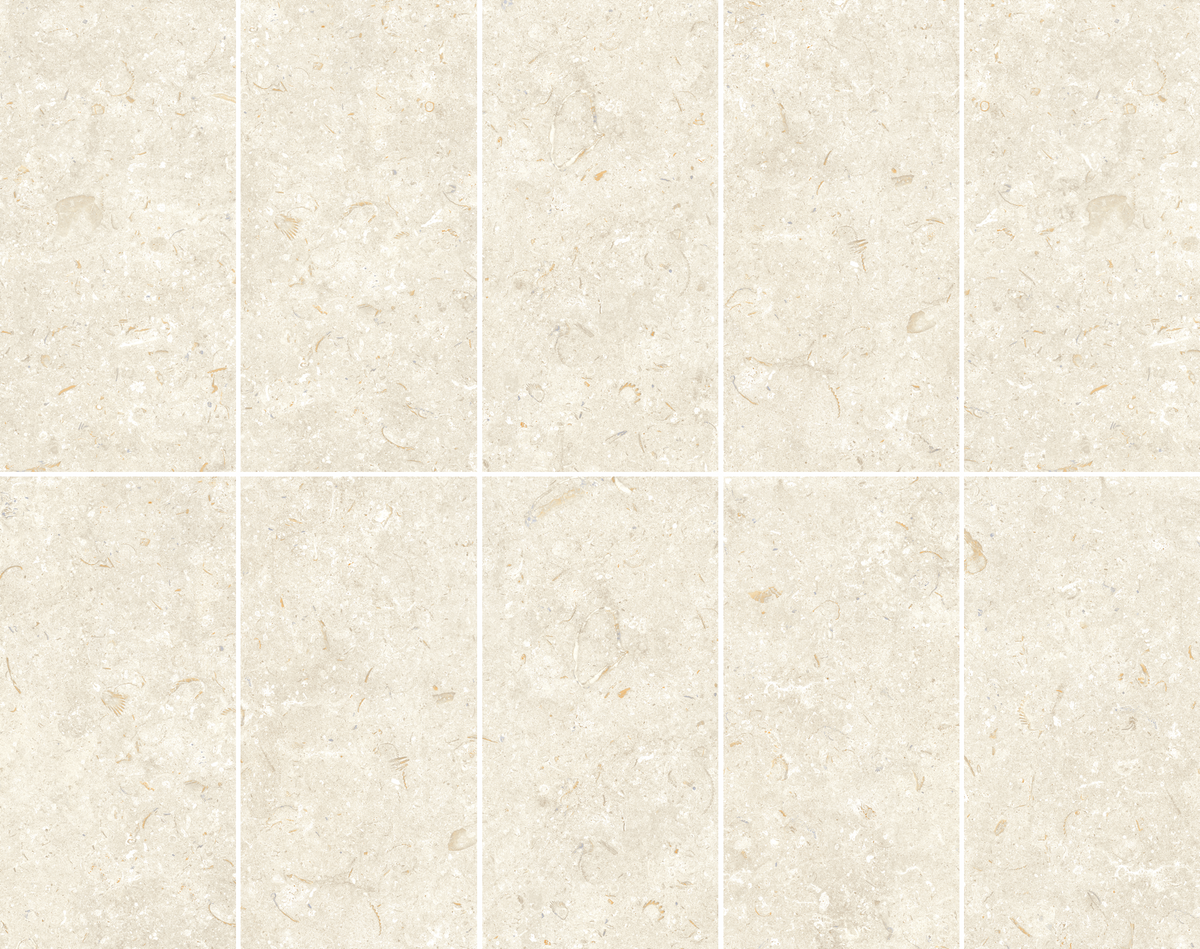 Fosil Bone Matte 12"x24" Porcelain Tile