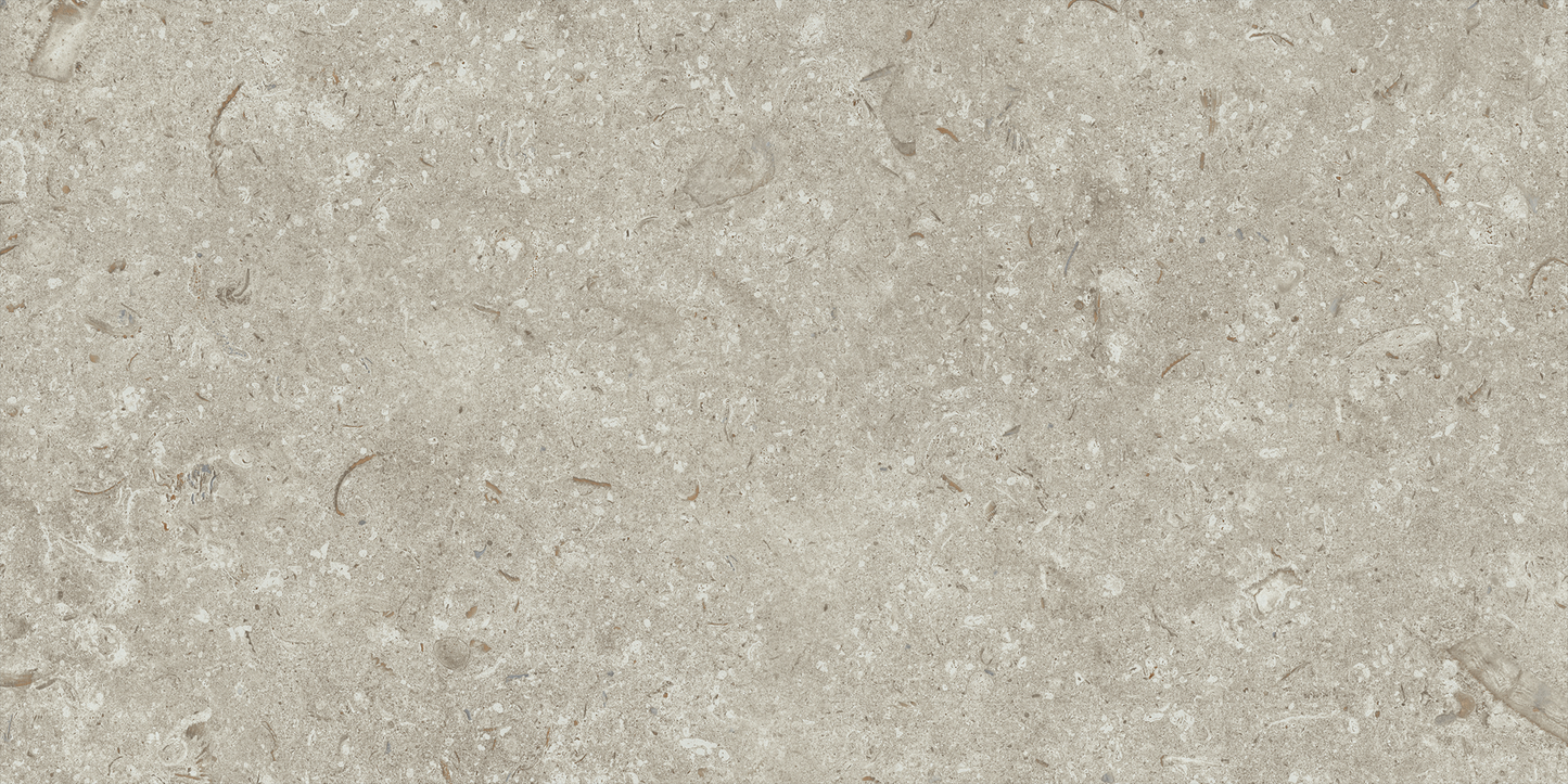 Fosil Gris 12x24 Matte Finish Porcelain Tile