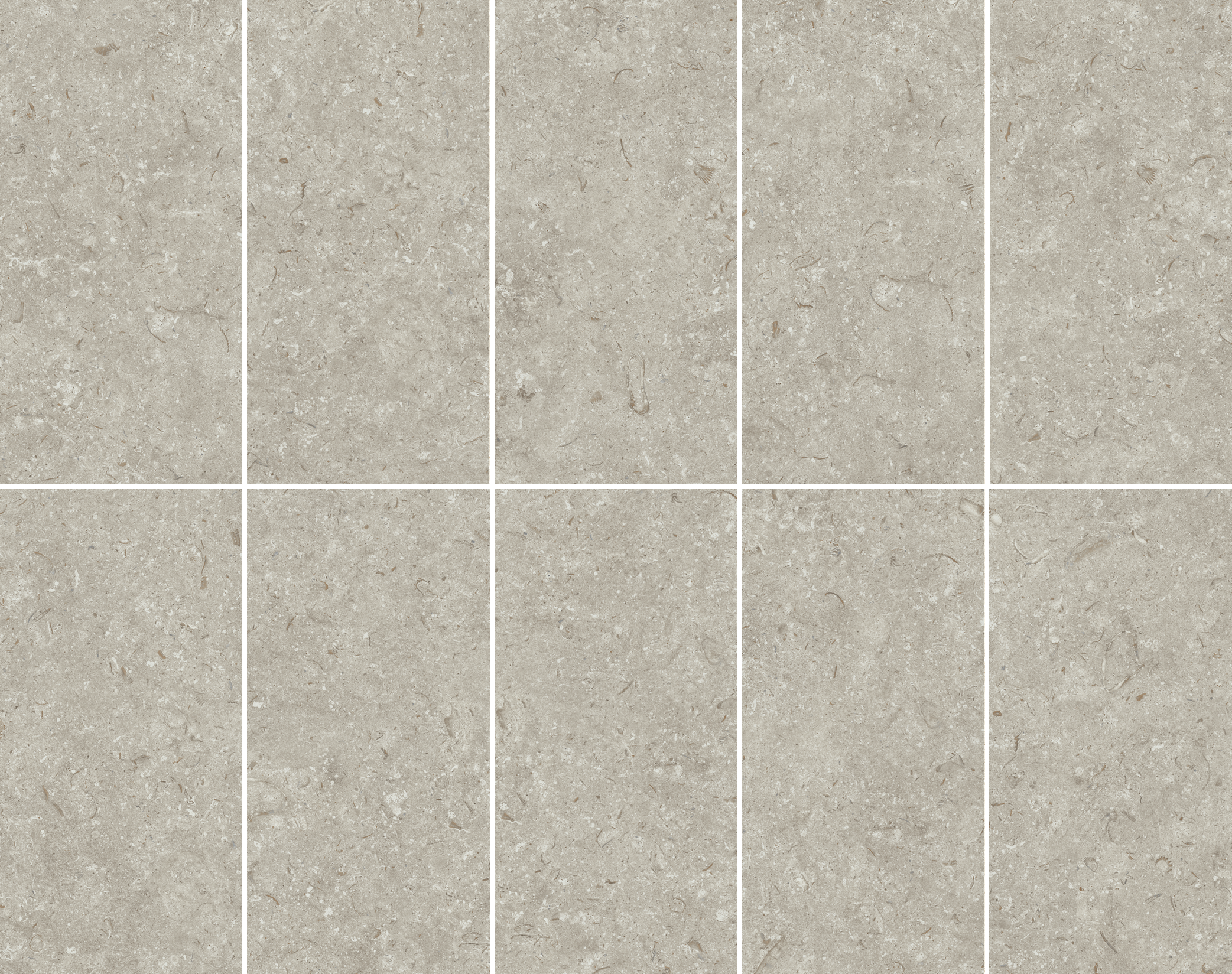 Fosil Gris 12x24 Matte Finish Porcelain Tile