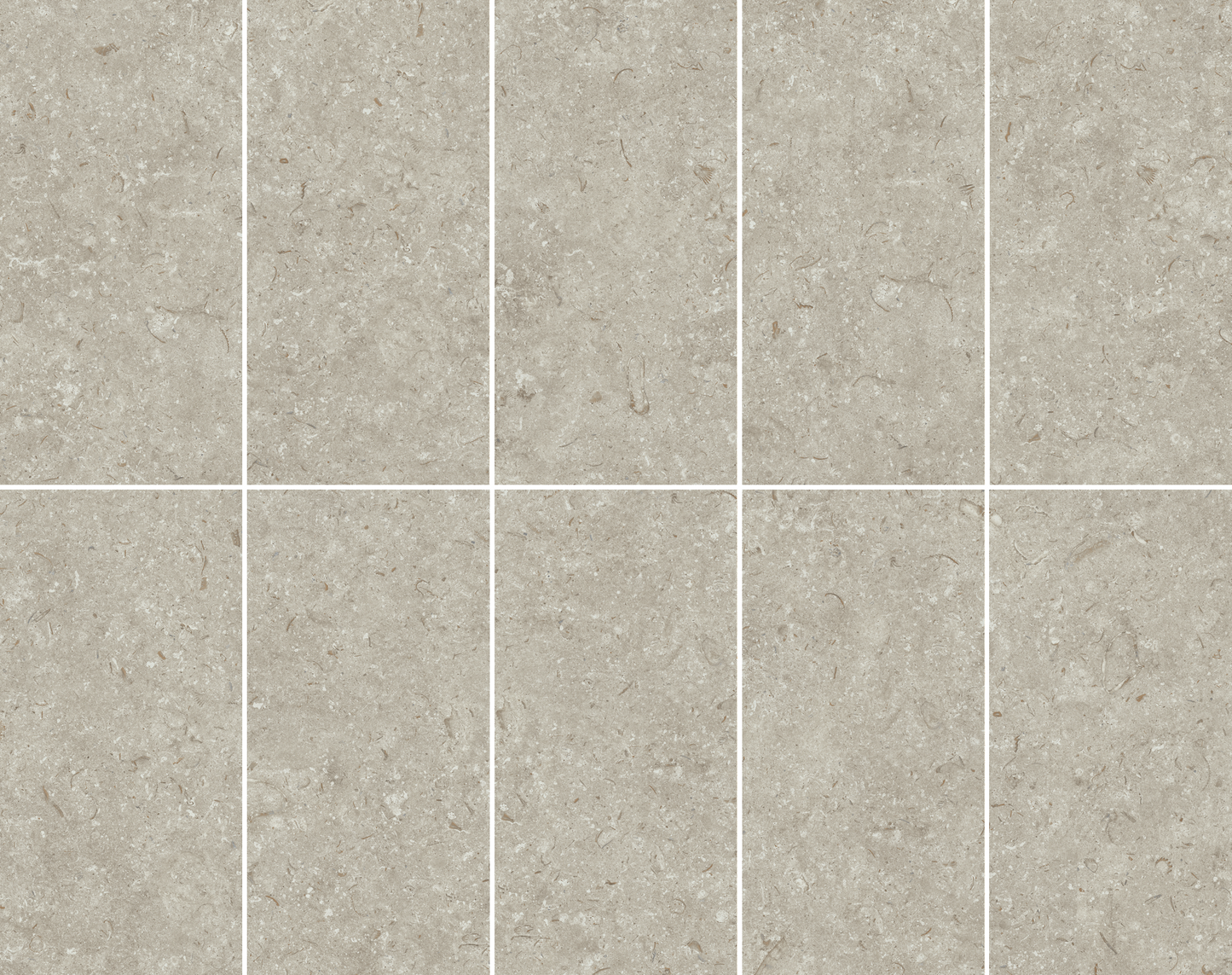 Fosil Gris 12x24 Matte Finish Porcelain Tile