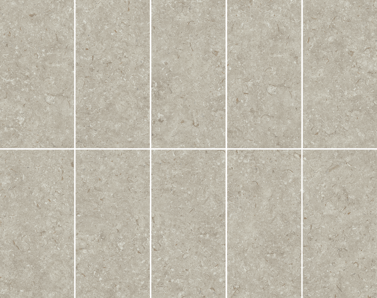 Fosil Gris Matte 12"x24" Porcelain Tile
