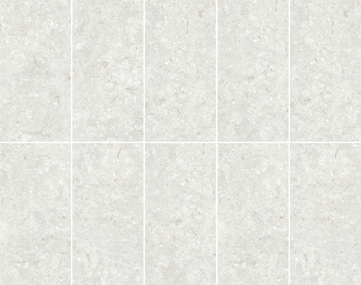 Fosil Perla Matte 12"x24" Porcelain Tile