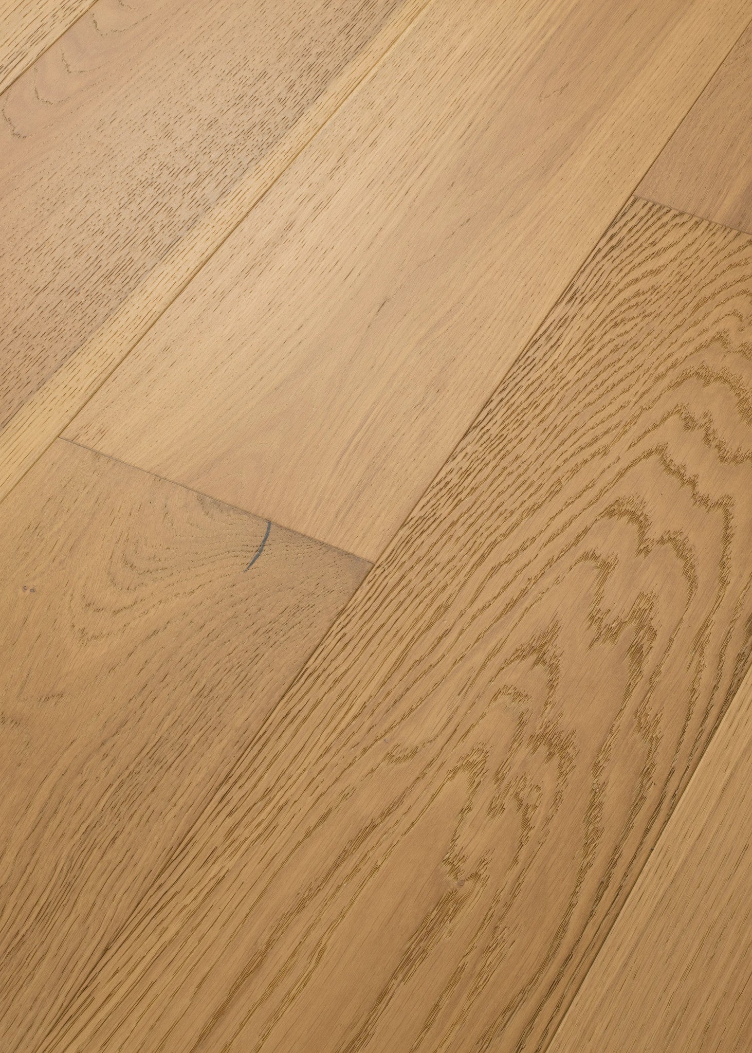 Shaw Floors Exquisite Harvest Oak 8
