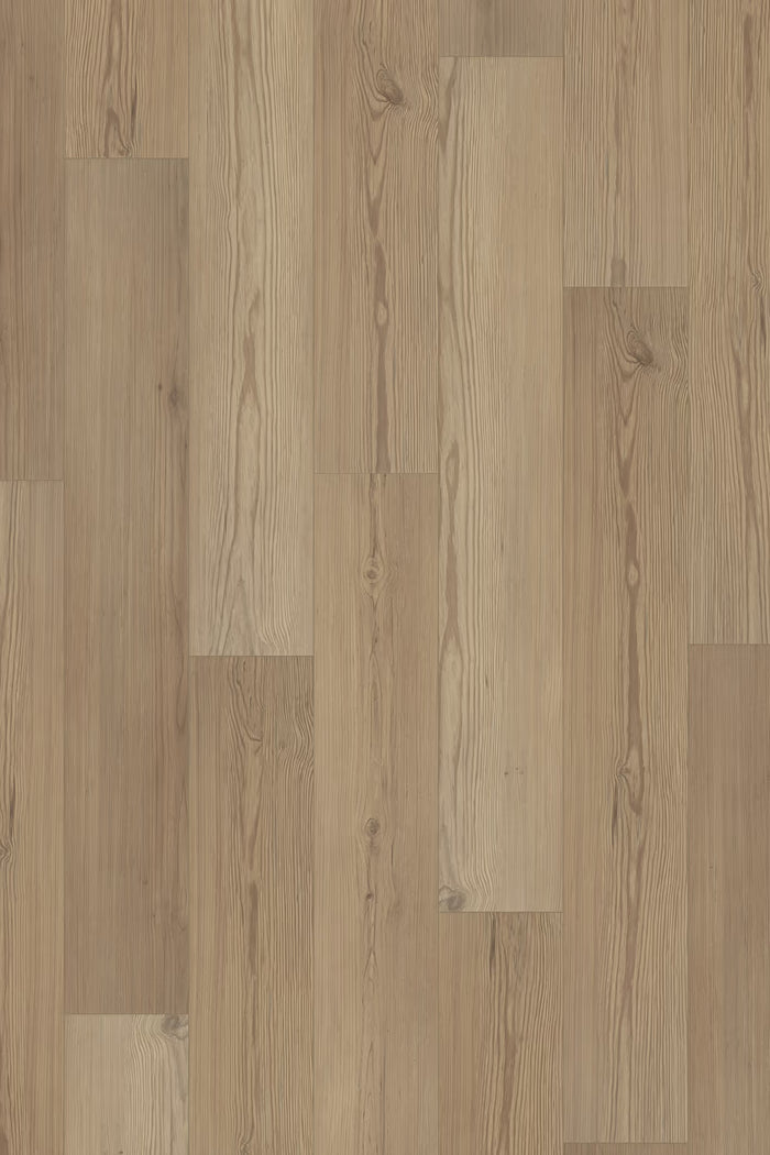 Homecoming Solenne Pine 10mm Laminate Flooring 7”x47”