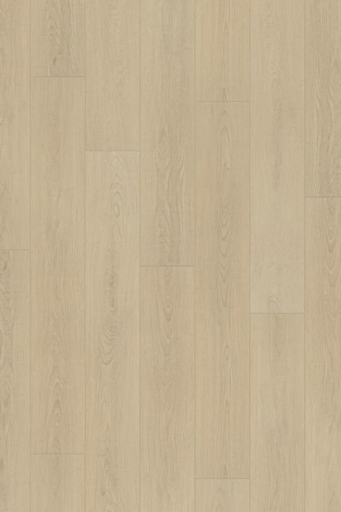 Homecoming Trace Oak 10mm Laminate Flooring 7”x47”