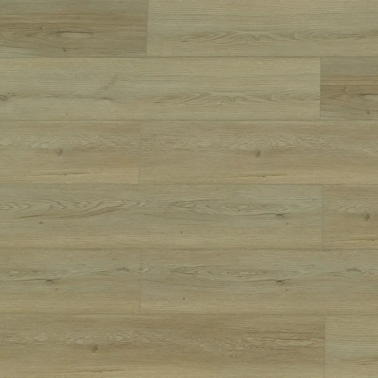 Toucan SPC6 Madrid 9