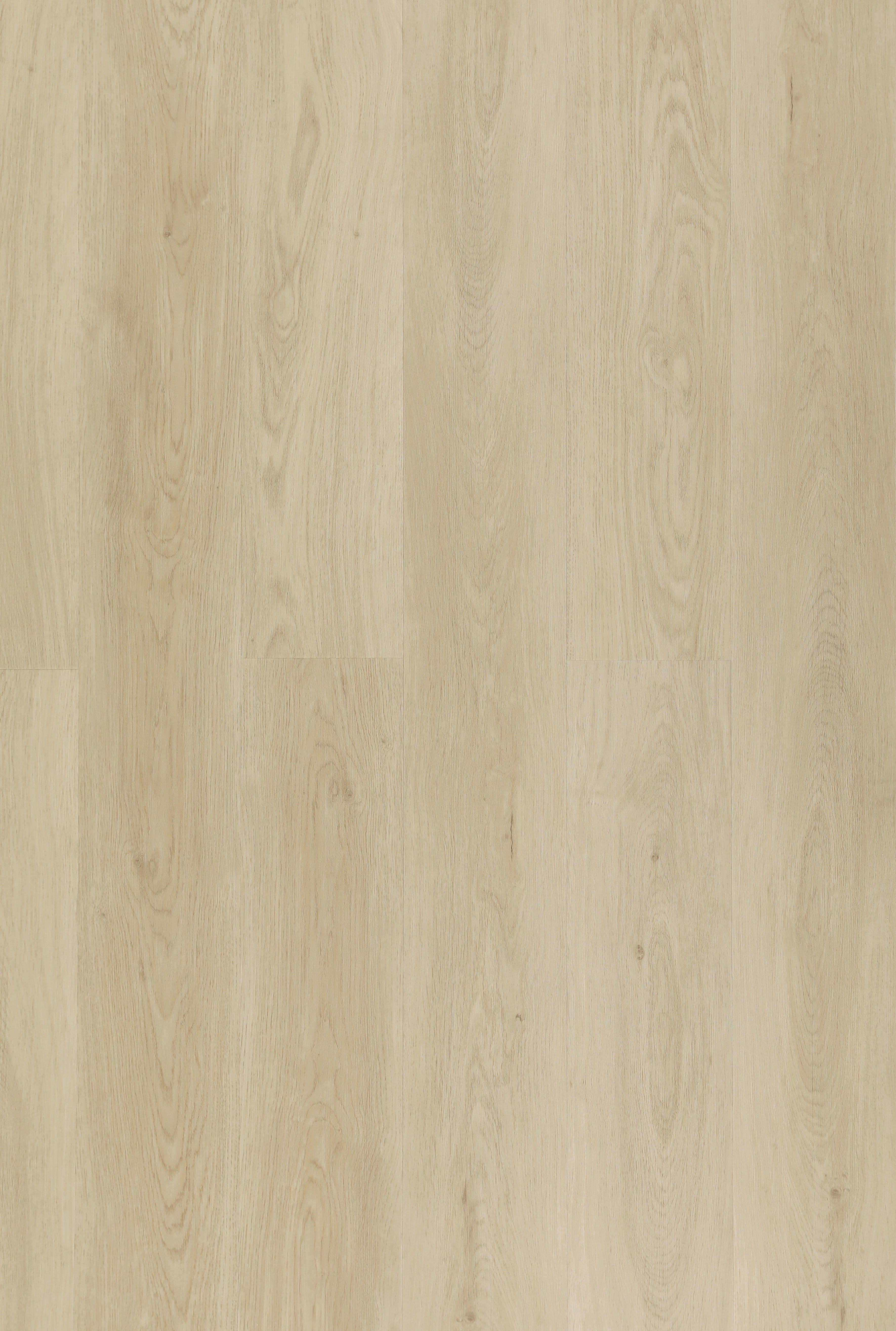 Biyork Hydrogen-6 Sunrise Vinyl T-Molding 94.5