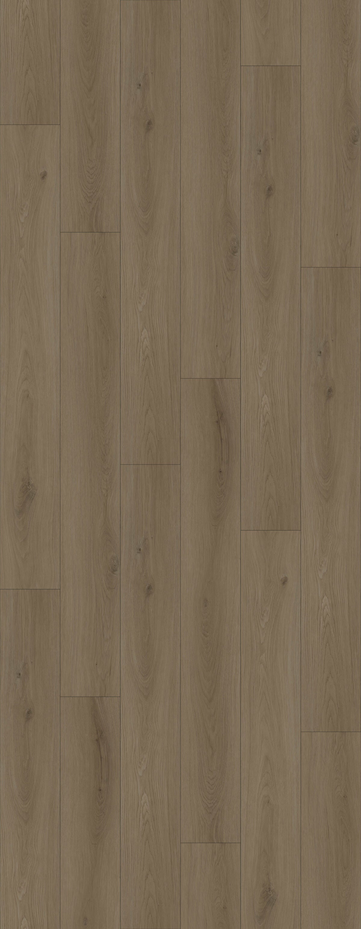 HTBC Resilience+ Pebble 7"x60"x12mm Laminate Flooring
