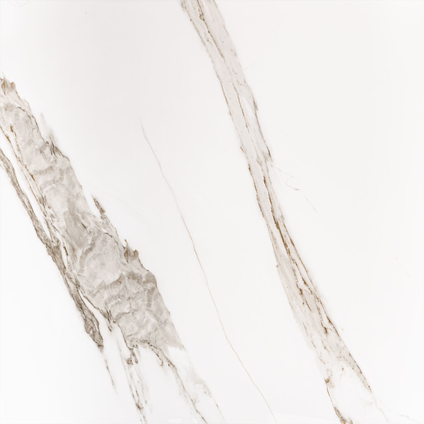 Preview Venato 24x24 Polished Marble Look Porcelain Tile