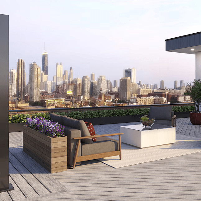 Trex Lineage Rainier 1