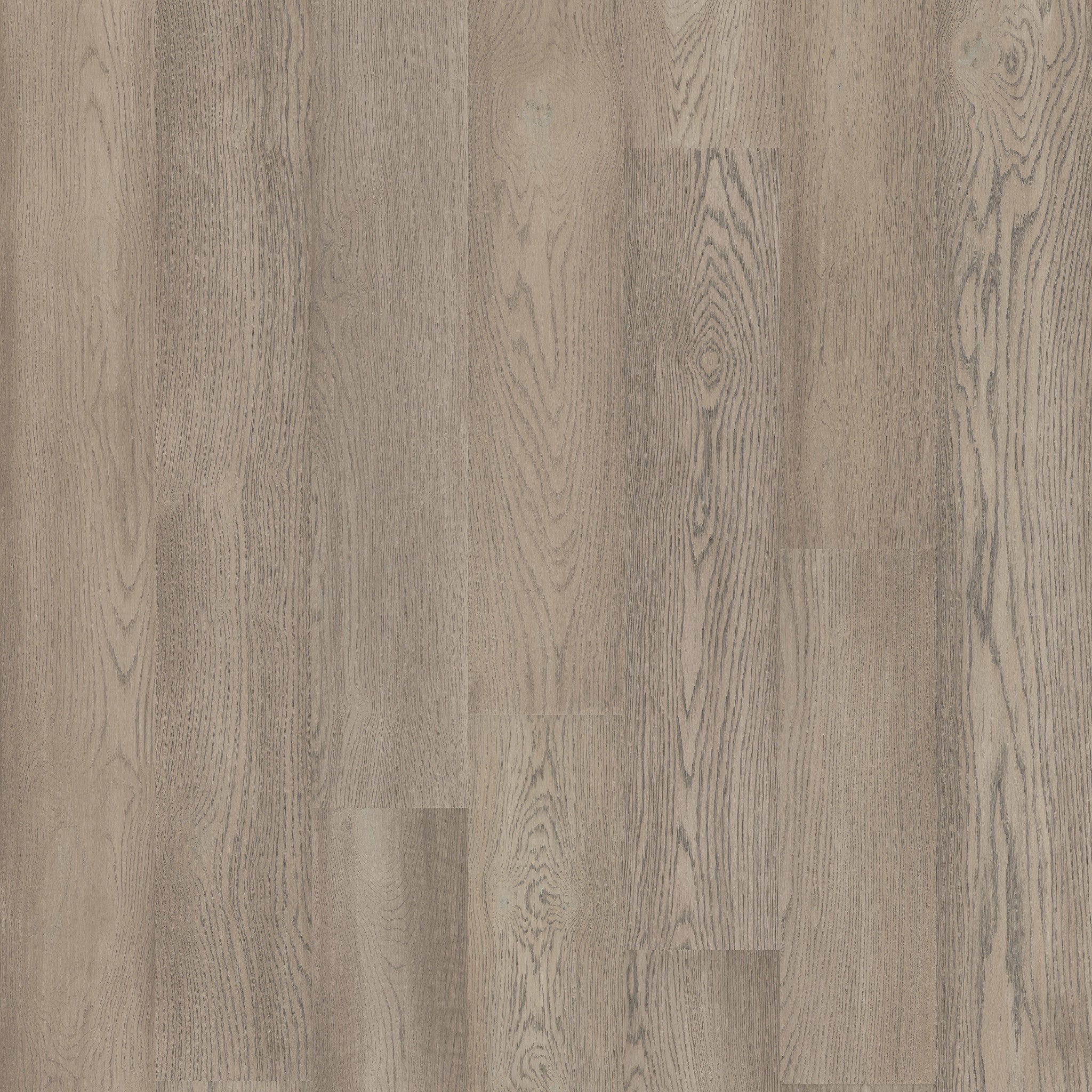 Shaw Floors Exquisite Silverado Oak 8
