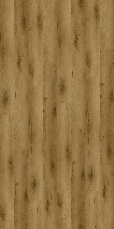 Harbinger Signature San Antonio 9