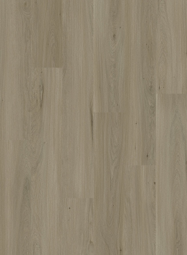 Harbinger Quiet Zone Sea Salt 8