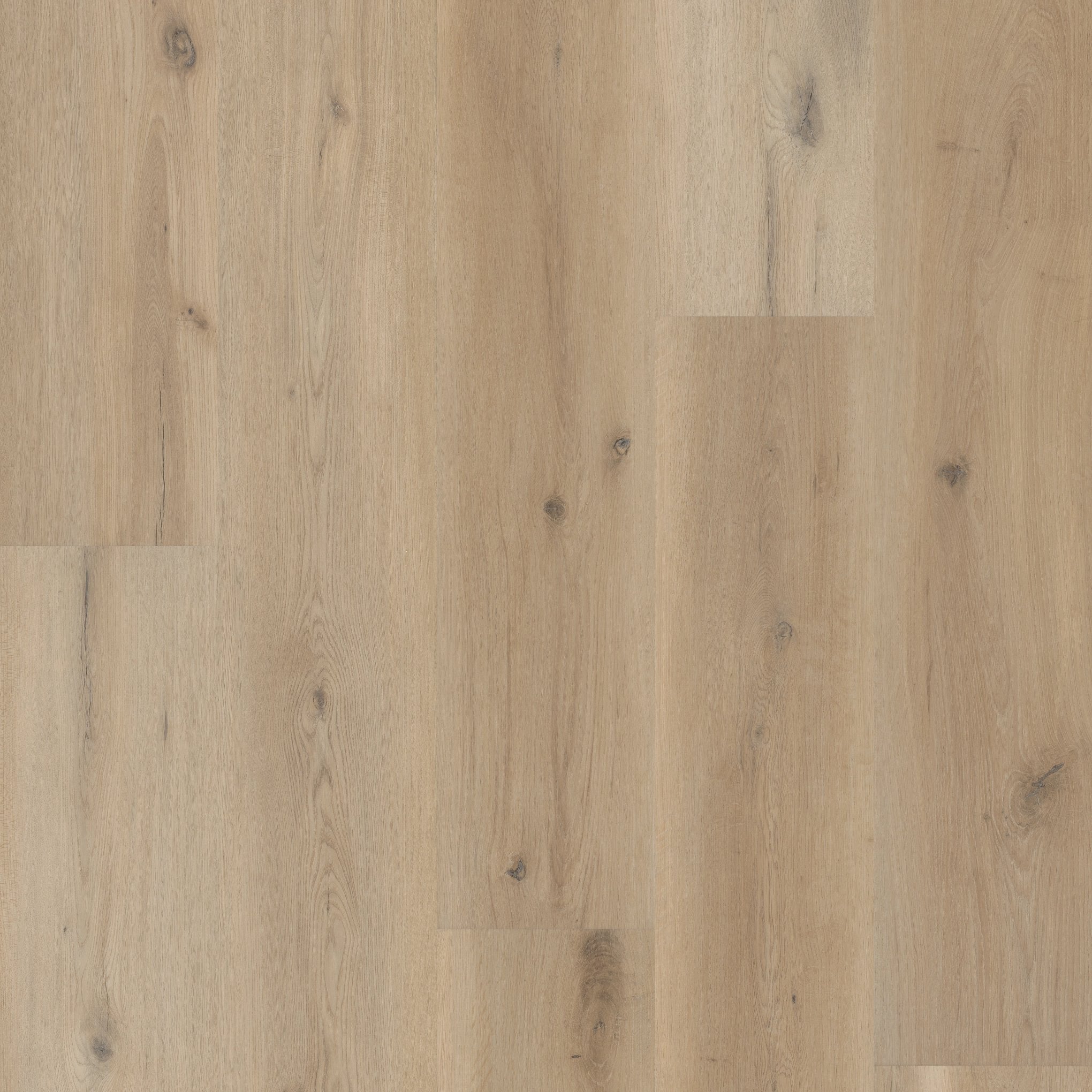 Coretec Premium Sea Salt Oak 9