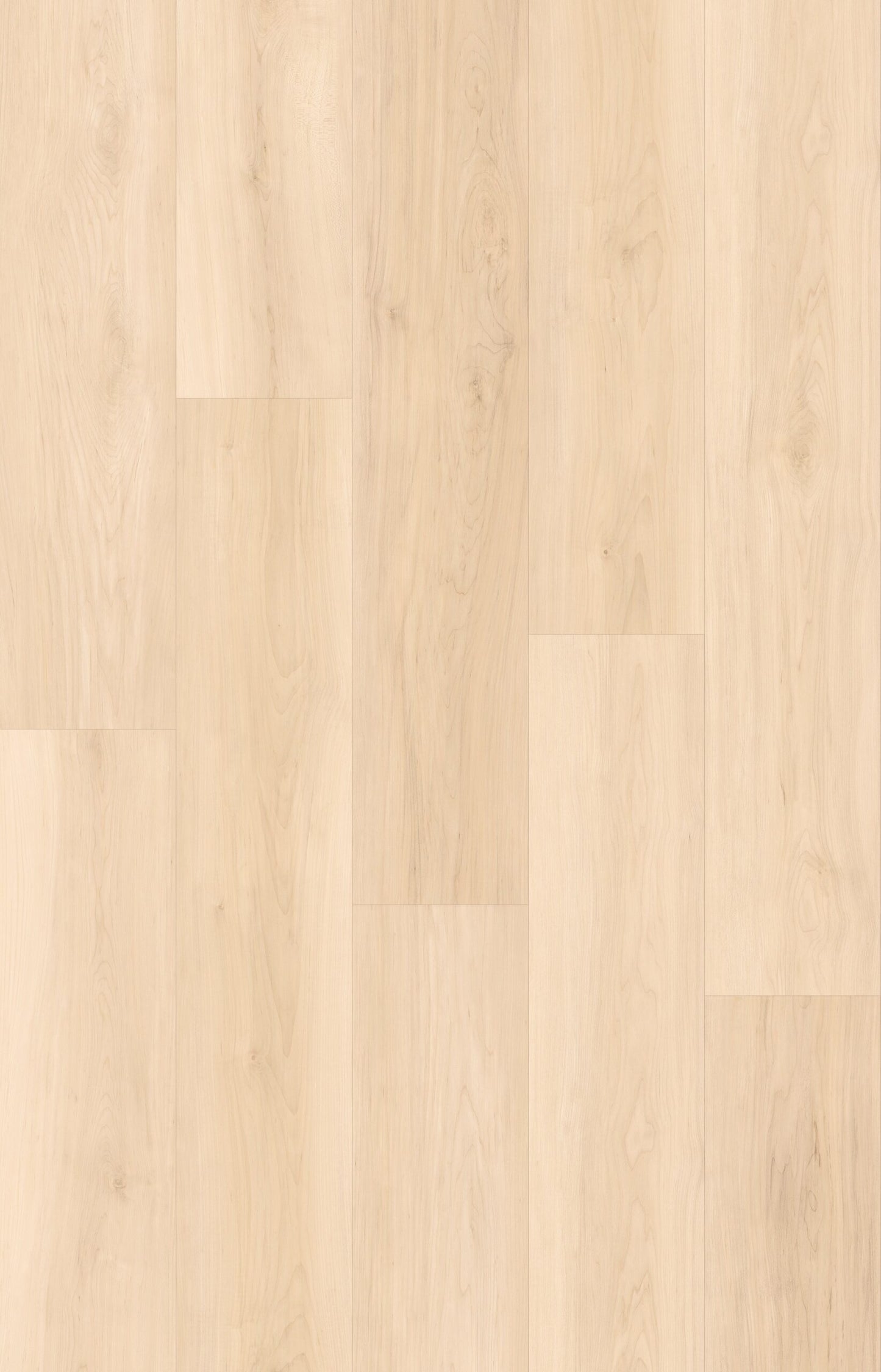 HTBC Maple Essence Velvet 9"x60"x12mm Laminate Flooring