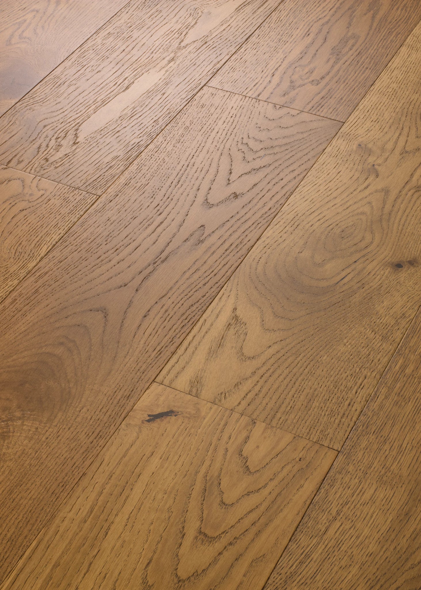 Shaw Floors Exquisite Warmed Oak 8