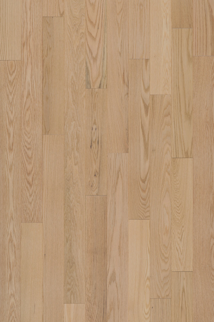 Denali Flooring Avery 19mm Solid Hardwood 3