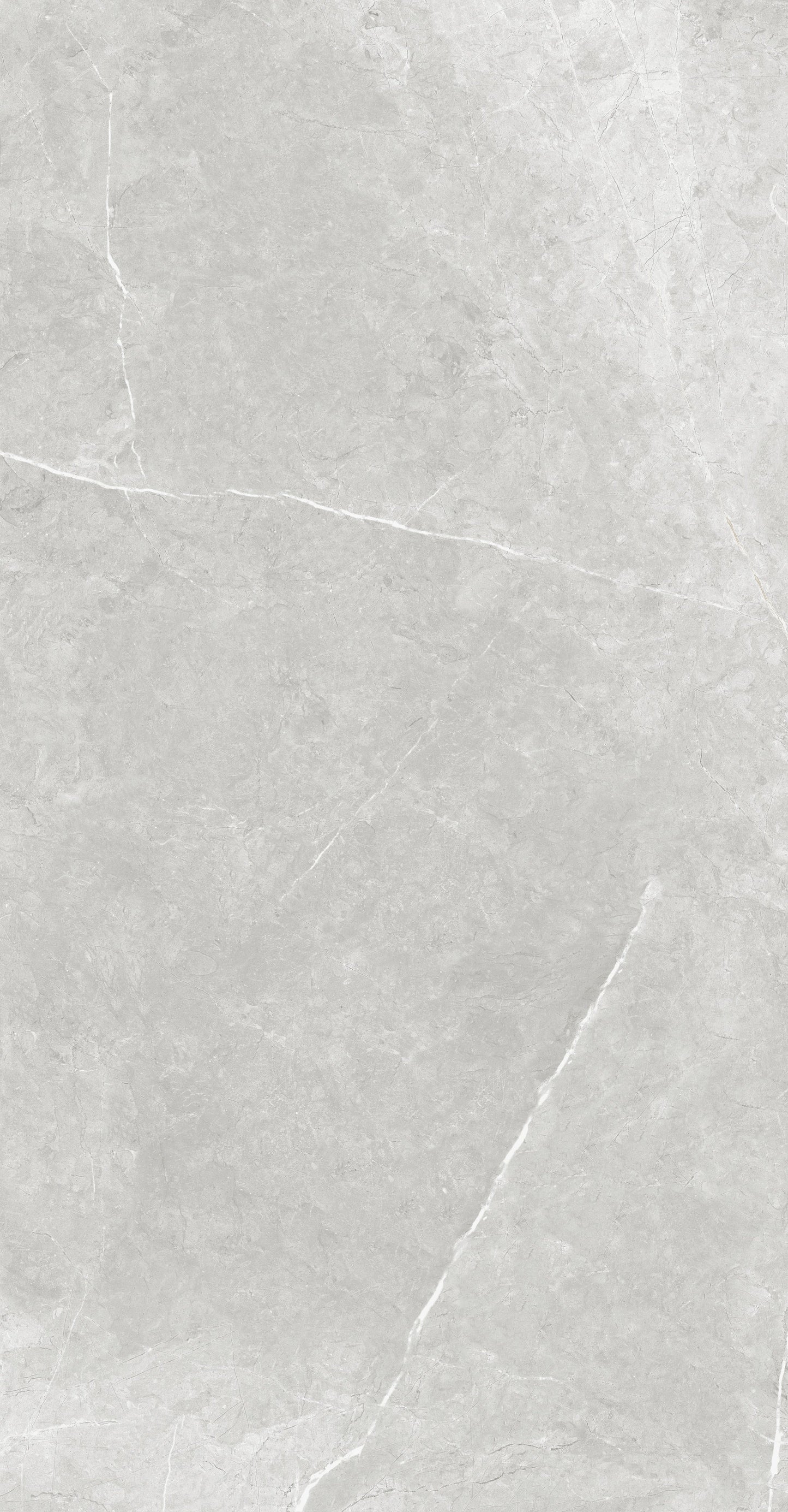 Vena White 24"x48" Polished Finish Porcelain Tile