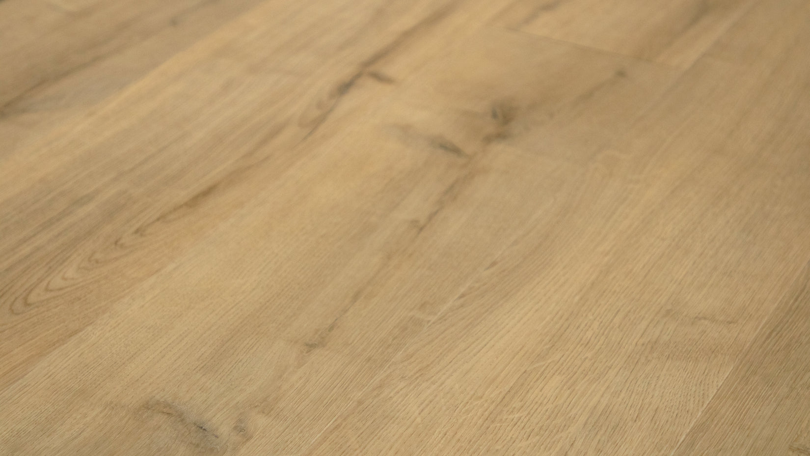 Grandeur Alexandria 7