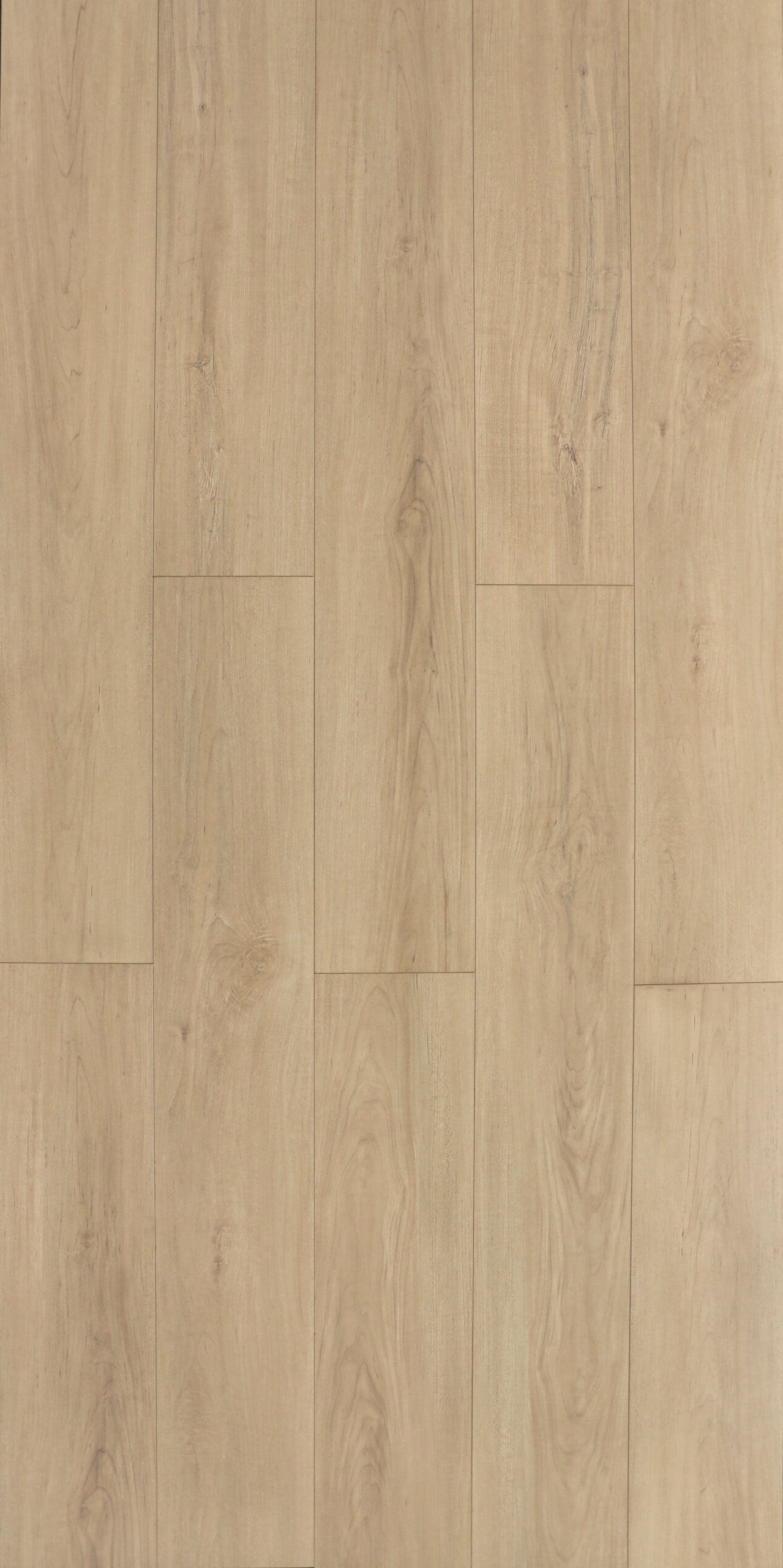 HTBC Maple Essence Almond 9"x60"x12mm Laminate Flooring