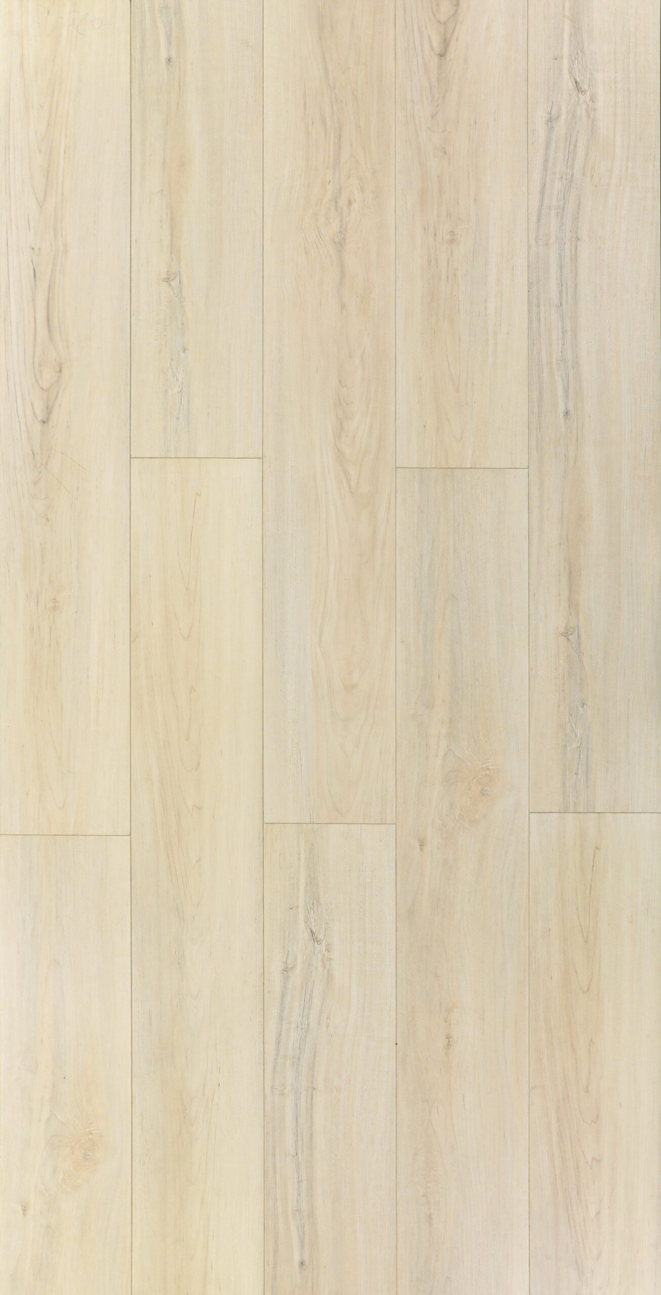 HTBC Maple Essence Avalon 9"x60"x12mm Laminate Flooring
