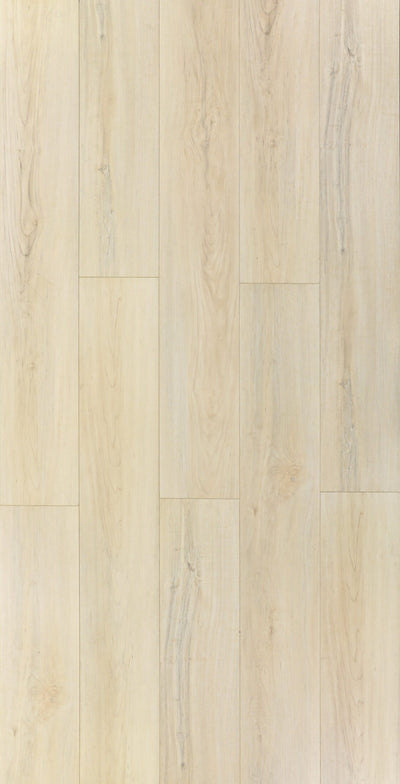 HTBC Maple Essence Avalon 9"x60"x12mm Laminate Flooring