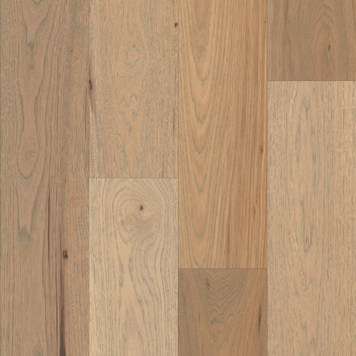 Avenor Tide 14mm Hardwood Flooring 7.5