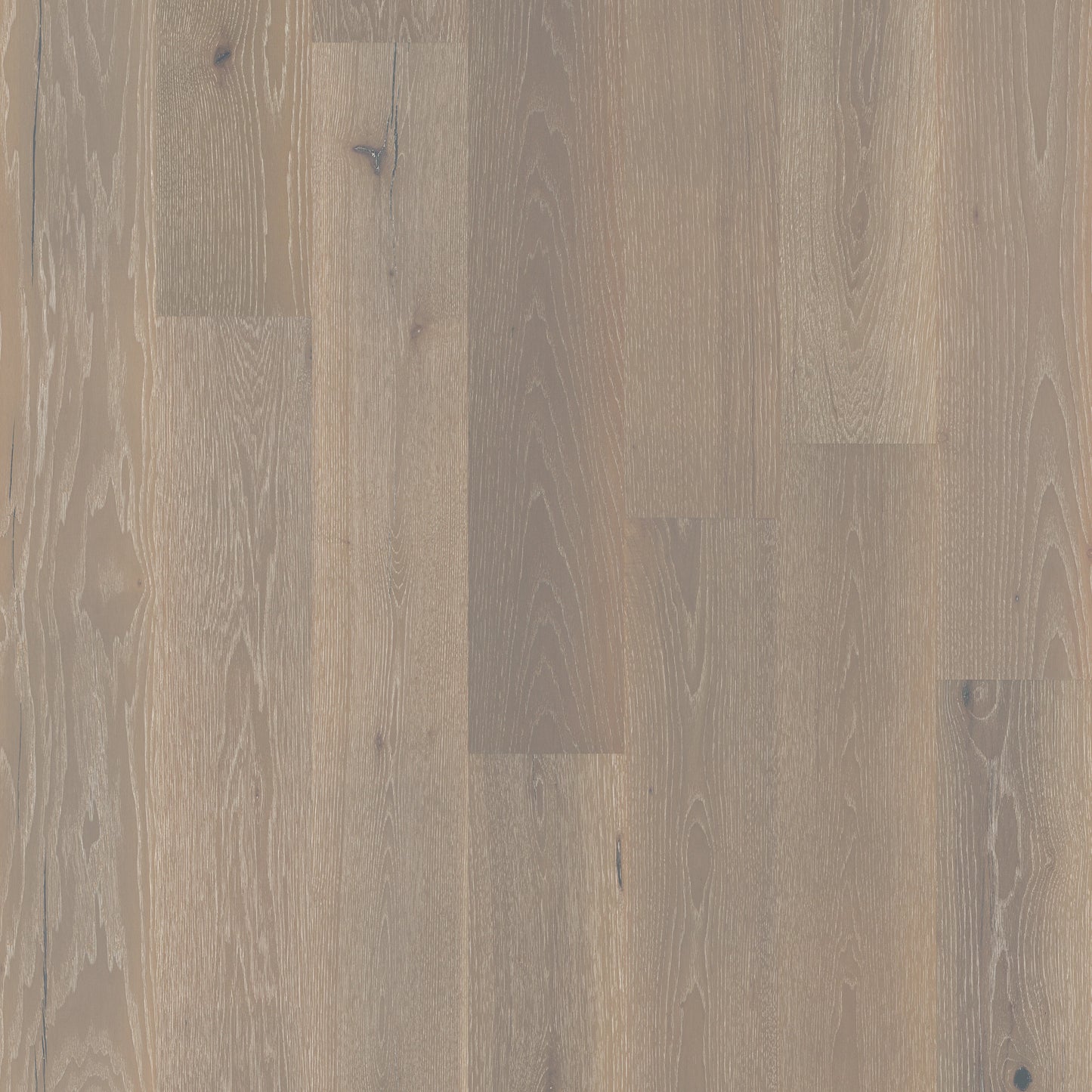 Shaw Floors Exquisite Beiged Hickory 8"x72" Hardwood Flooring