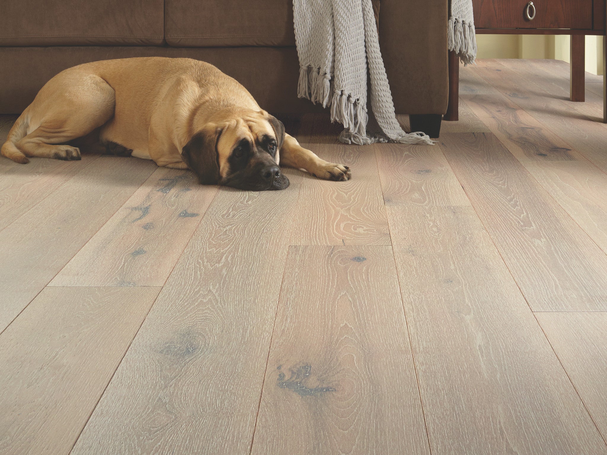 Shaw Floors Exquisite Beiged Hickory 8