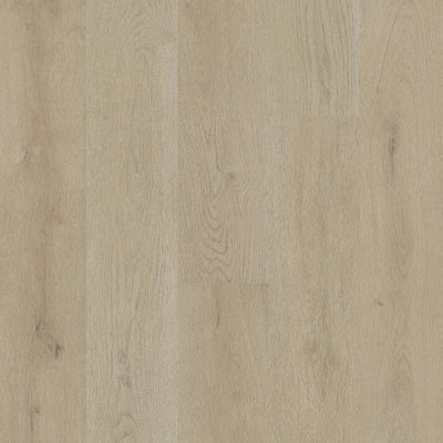 Biyork Traktion Brimstone Vinyl T-Molding 94.5"