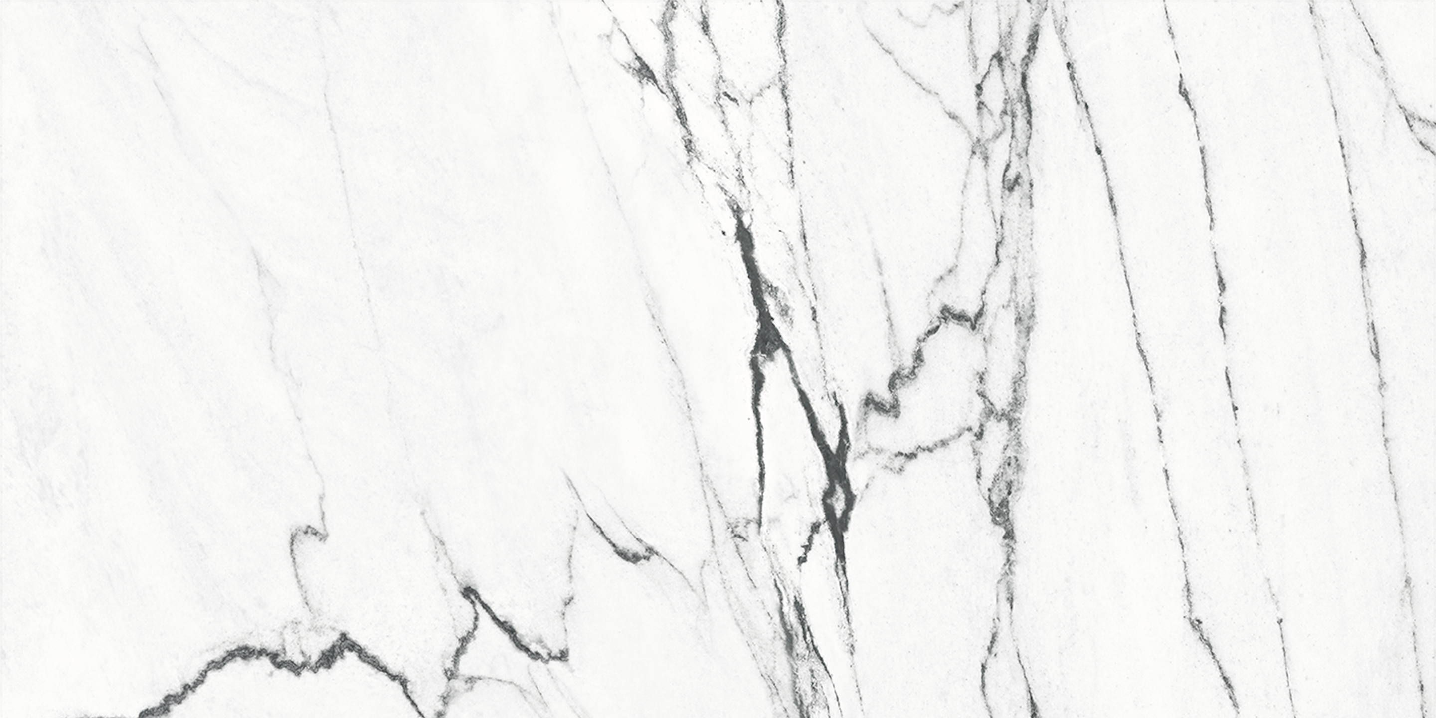 Calacatta Black 24x48 Polished Marble Look Porcelain Tile